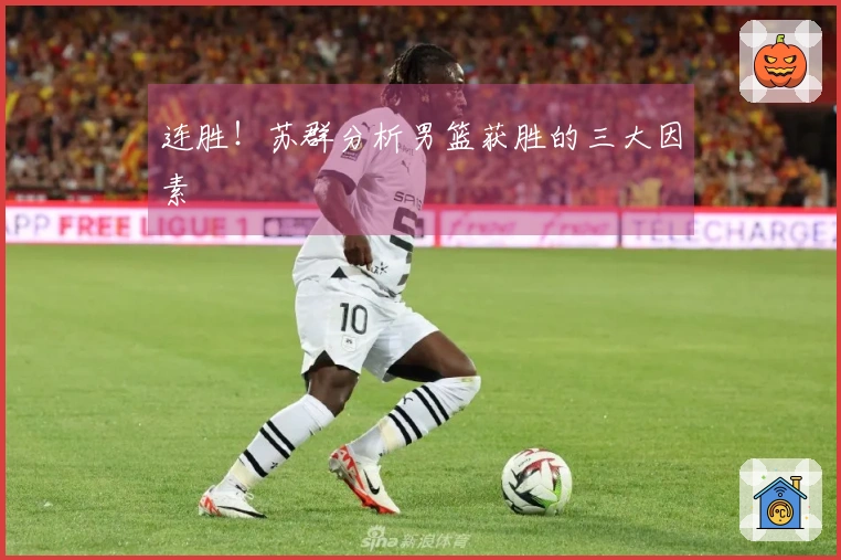 连胜！苏群分析男篮获胜的三大因素