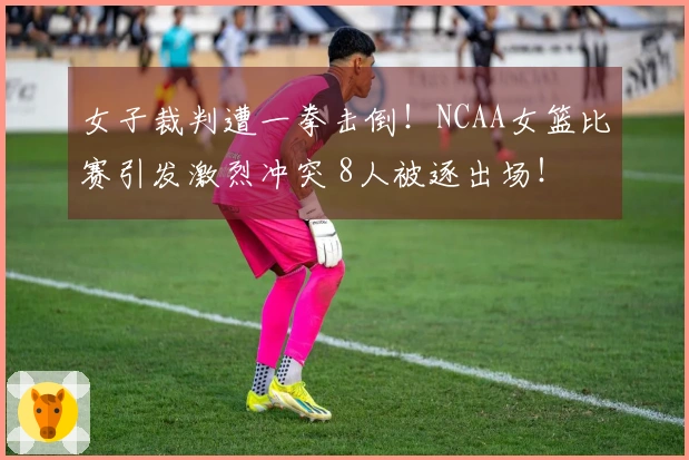 女子裁判遭一拳击倒！NCAA女篮比赛引发激烈冲突 8人被逐出场！