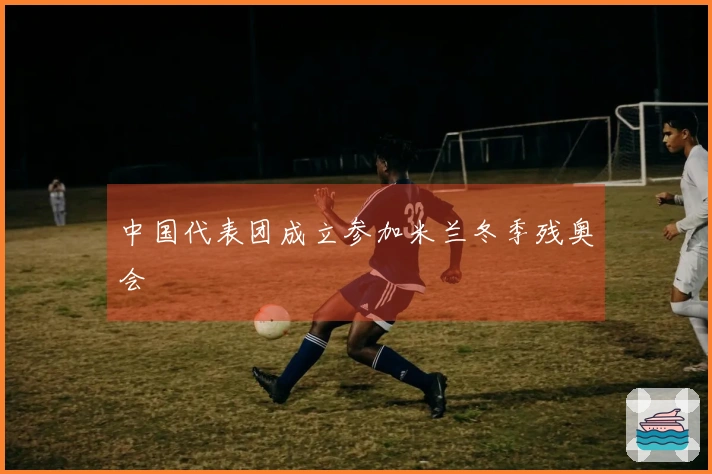 中国代表团成立参加米兰冬季残奥会